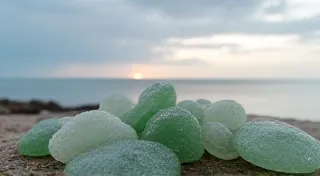 The Sun's Embrace: Optimizing Light Exposure for Watermelon Flourishing